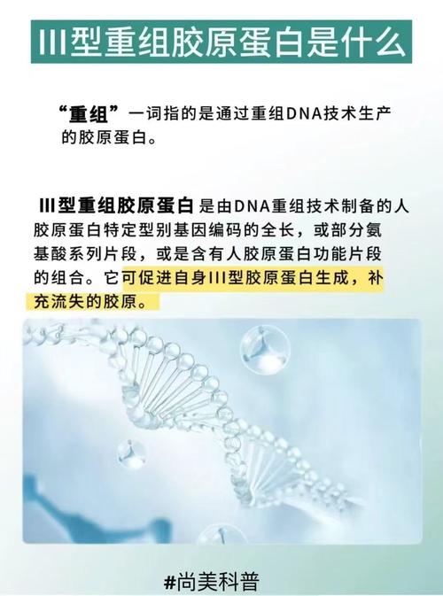 三型重组胶原蛋白是什么？一文讲清它与胶原蛋白的区别